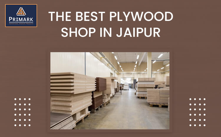 Plywood Shop in Jaipur