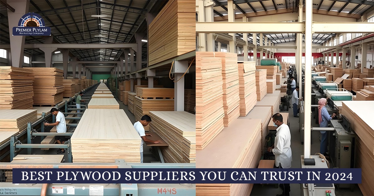 Best Plywood Suppliers You Can Trust in 2024