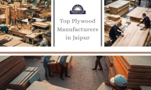 Plywood Manufacturers in jaipur