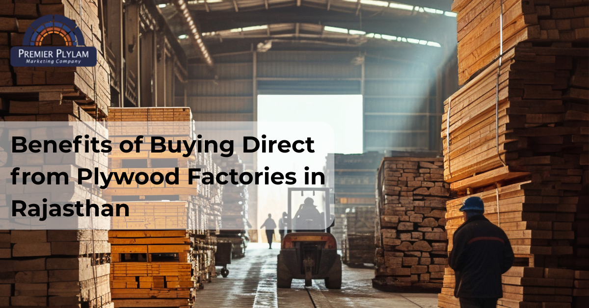 Benefits of Buying Direct from Plywood Factories in Rajasthan
