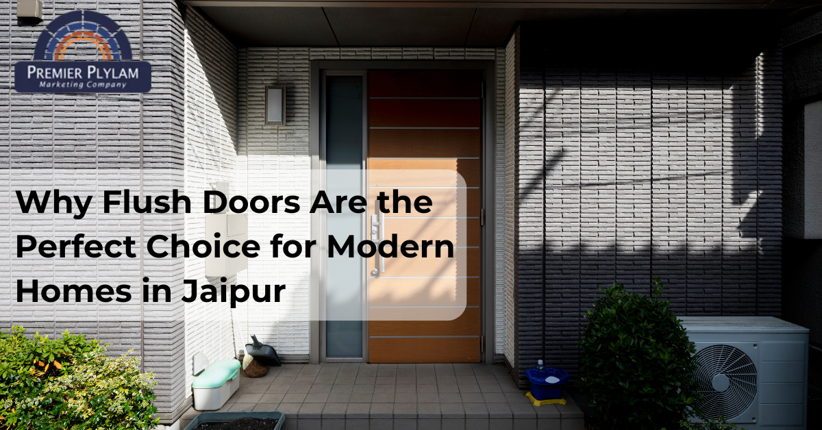 Why Flush Doors Are the Perfect Choice for Modern Homes in Jaipur